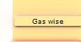 visit Detect Any Gas Website